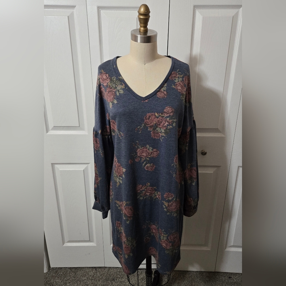 Blue & Pink Long Sleeved Floral Dress, Size Small, Like New Condition
